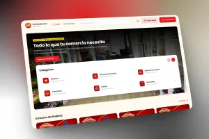 Distribuidora Sur - Screenshot 4
